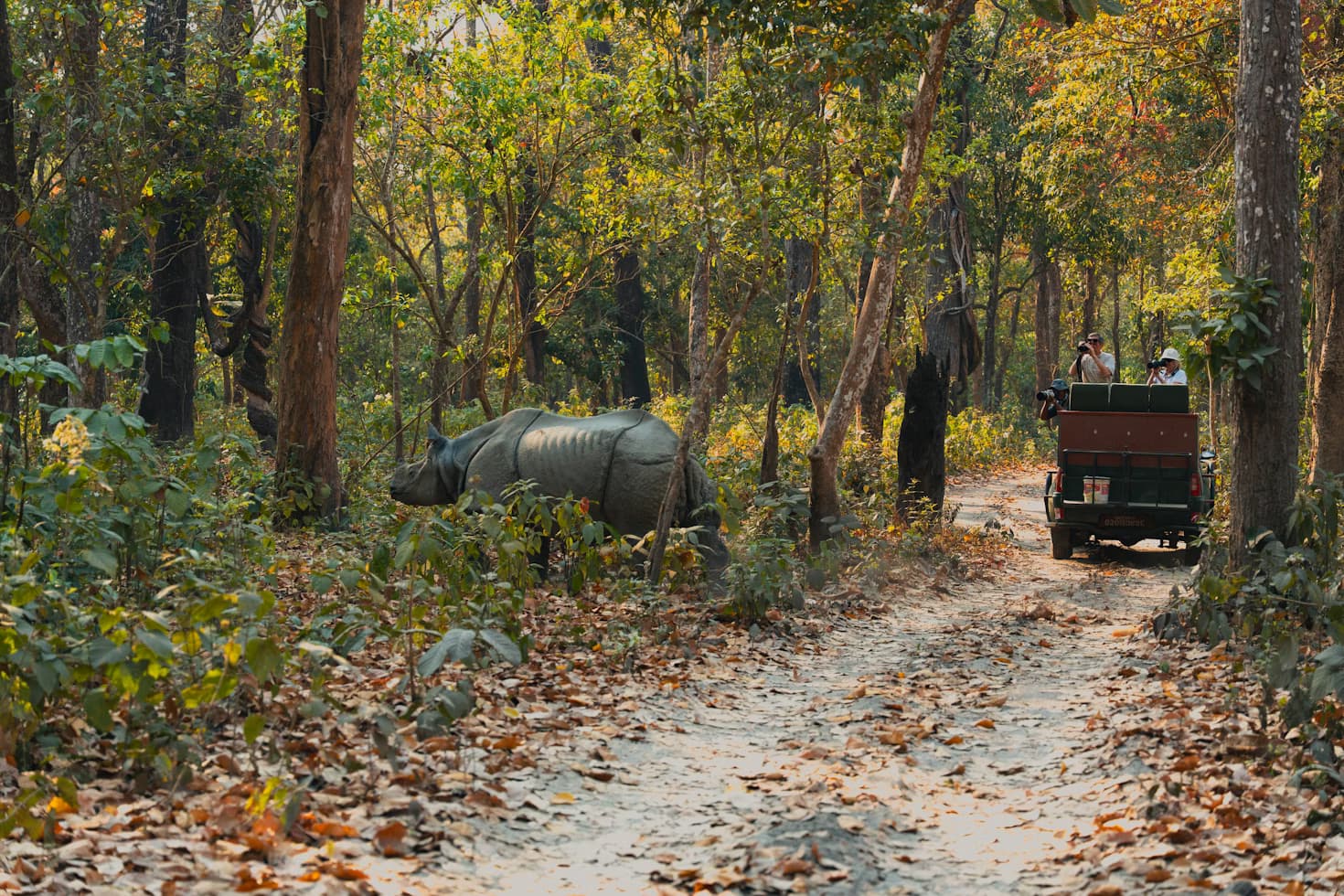 Sauraha, Chitwan, Nepal destination guide