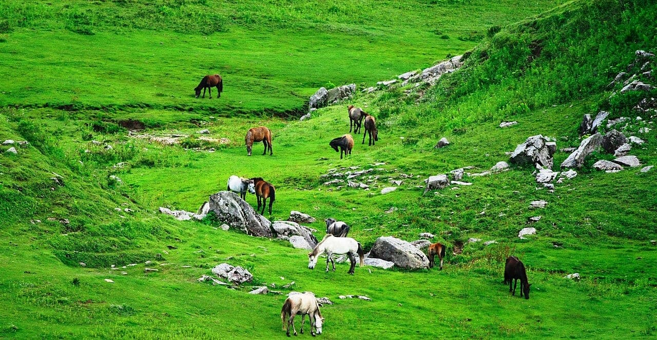Khaptad National Park far west Nepal highland meadow route for nearby destination from Api Nampa Conservation Area