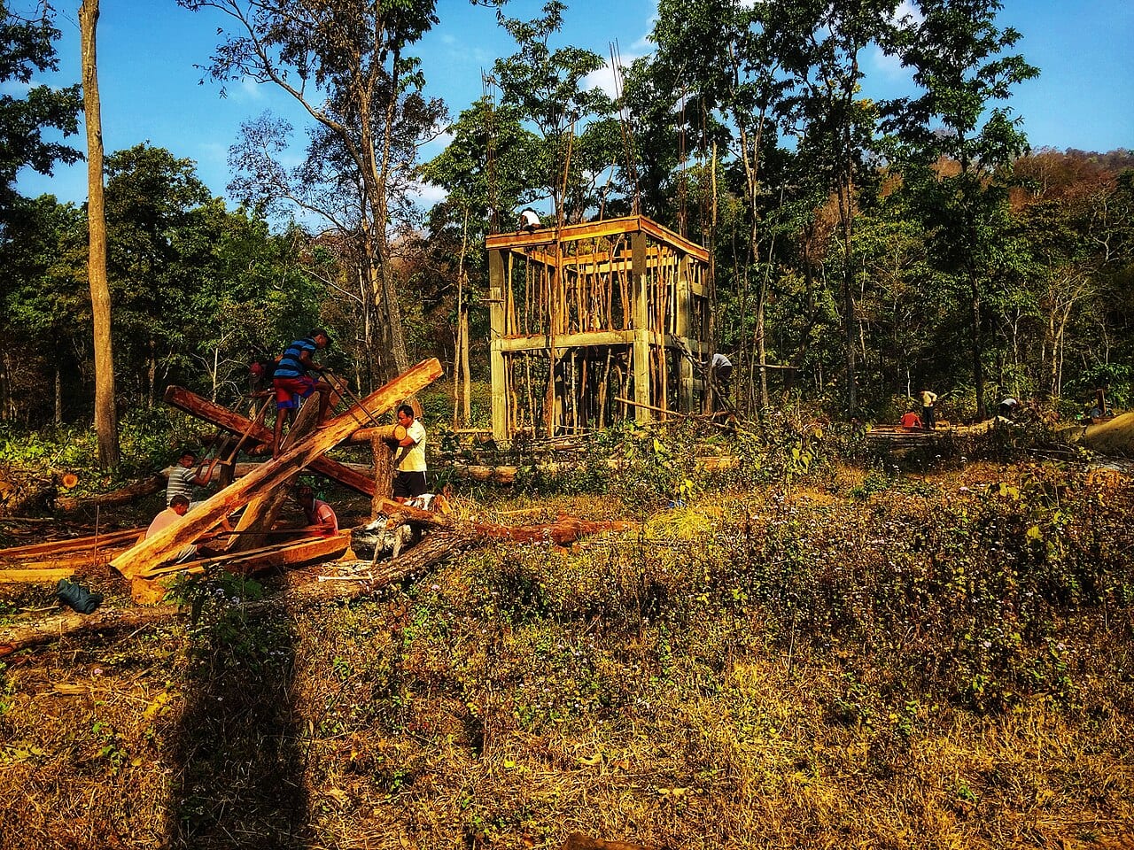 Banke National Park western Terai forest wildlife area in Nepal