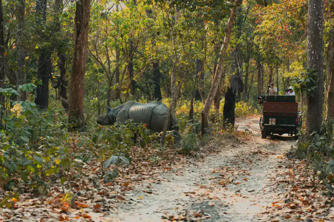 Meghauli western Chitwan wildlife lodge area in Nepal