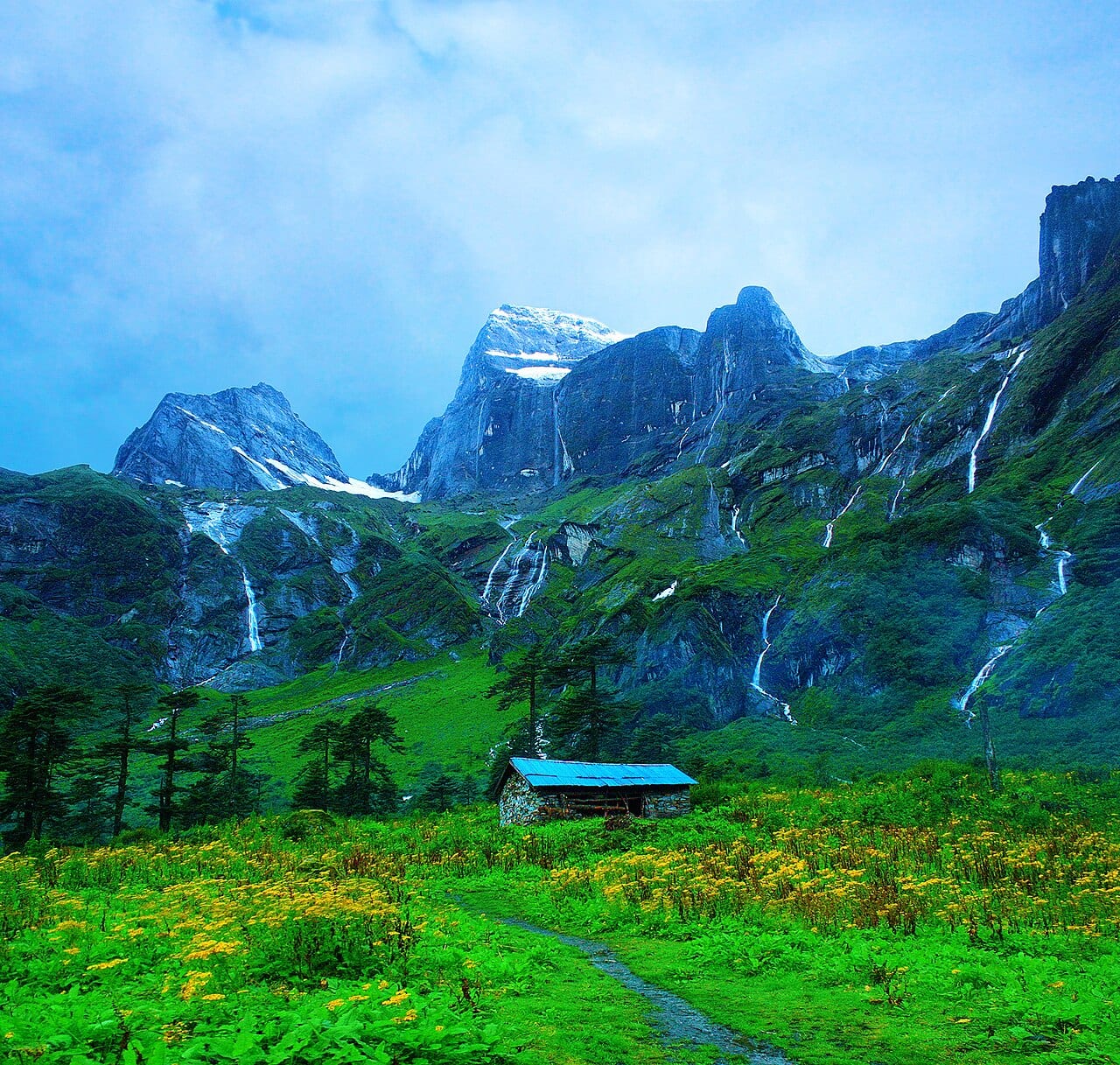Barun Valley landscape in Makalu Barun National Park Nepal